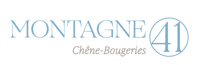 https://montagne41.ch/wp-content/uploads/2026/08/Montagne_41_Logo-640x210.png